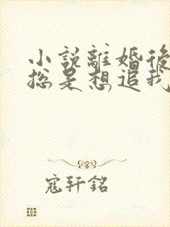 小说离婚后前夫总是想追我免费看