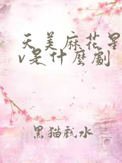天美麻花星空mv是什么剧