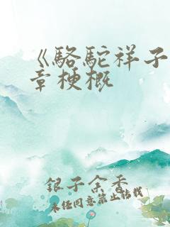 《骆驼祥子》各章梗概
