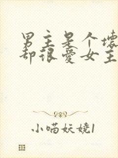 男主是个坏人,却很爱女主