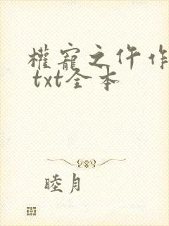 权宠之仵作医妃 txt全本