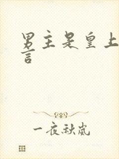 男主是皇上的古言