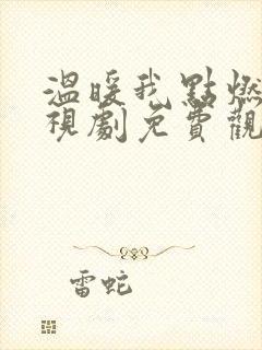 温暖我点燃你电视剧免费观看完整版