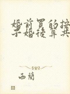 婚前买的按揭房子婚后算共同财产吗