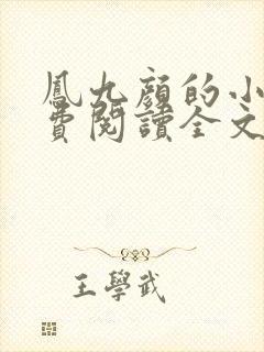 凤九颜的小说免费阅读全文无弹窗