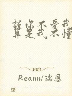 说你不爱我,就算是我不懂