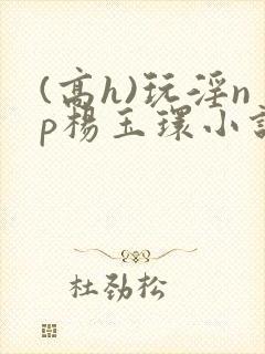 (高h)玩淫np杨玉环小说