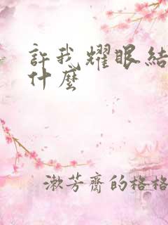 许我耀眼结局是什么