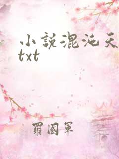 小说混沌天帝诀txt