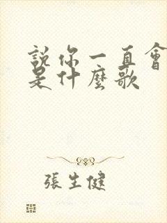 说你一直会爱我是什么歌