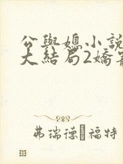 公与媳小说姚瑶大结局2娇宠儿媳