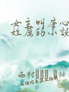 女主叫唐心男主姓厉的小说