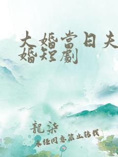 大婚当日夫君逃婚短剧