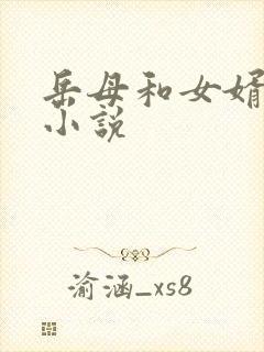 岳母和女婿激情小说