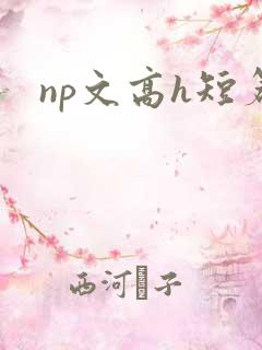 np文高h短篇