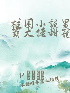 校园小说男主校霸大佬甜宠文