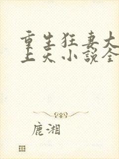 重生狂妻大佬宠上天小说全文阅读