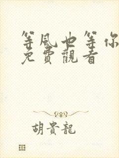 等风也等你短剧免费观看