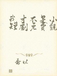 我才不是小可怜短剧免费观看全集