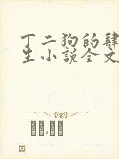 丁二狗的肆意人生小说全文听