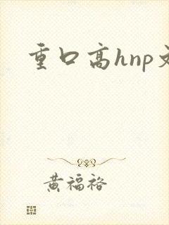 重口高hnp文