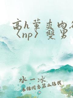 高h荤爽肉欲文〈np〉双男