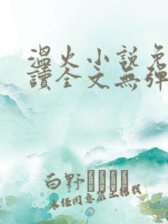 温火小说免费阅读全文无弹窗