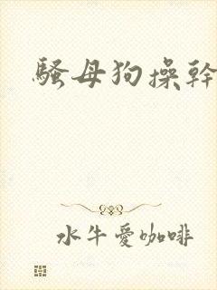 骚母狗操干死你