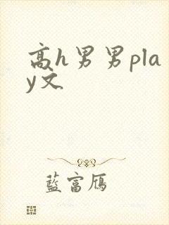 高h男男play文
