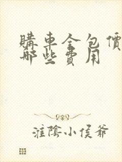 购车全包价包含哪些费用