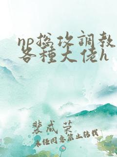 np总攻调教j各种大佬h