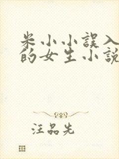 米小小误入男校的女生小说