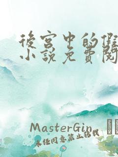 后宫中的假太监小说免费阅读