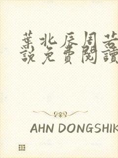 叶北辰周若妤小说免费阅读完整版