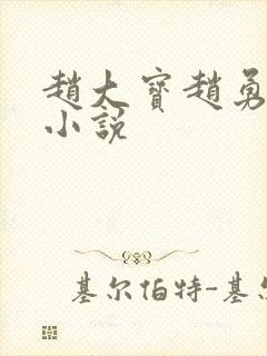 赵大宝赵勇苏媚小说