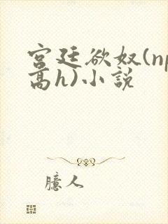 宫廷欲奴(np高h)小说