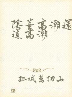 阴蒂高潮还是阴道高潮