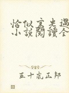 恰似寒光遇骄阳小说阅读全文