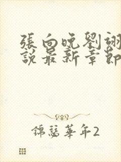 张向晚刘翊京小说最新章节更新时间