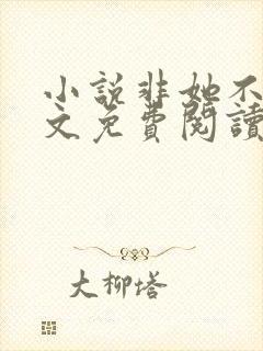 小说非她不可全文免费阅读