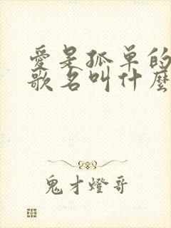 爱是孤单的心事歌名叫什么歌