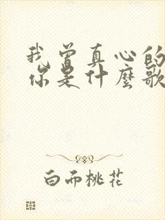 我曾真心的爱过你是什么歌的歌词