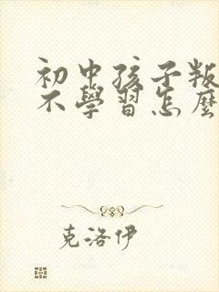 初中孩子叛逆期不学习怎么办