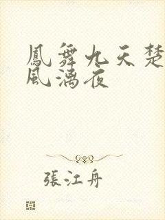 凤舞九天楚倾歌风漓夜
