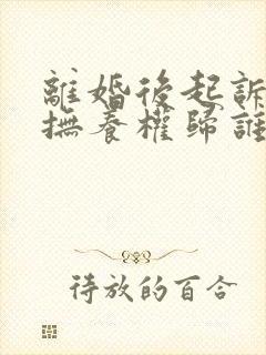 离婚后起诉孩子抚养权归谁