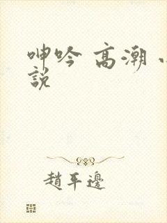 呻吟 高潮 小说