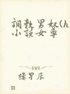 调教男奴(h)小说女尊