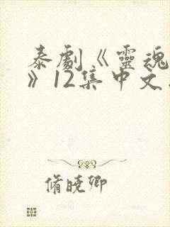 泰剧《灵魂重生》12集中文版在线观看