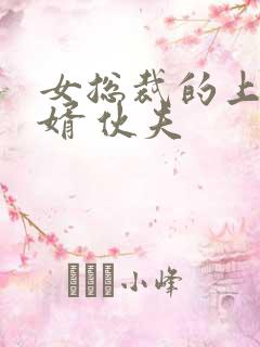 女总裁的上门龙婿 伙夫