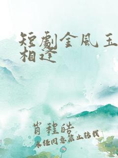 短剧金风玉露一相逢